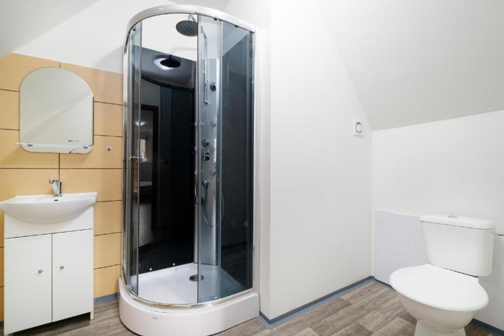 Apartmany Klinovec - Penzion Jonas Лоучна-под-Кліновцем Екстер'єр фото
