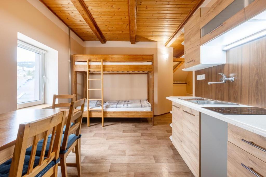 Apartmany Klinovec - Penzion Jonas Лоучна-под-Кліновцем Екстер'єр фото