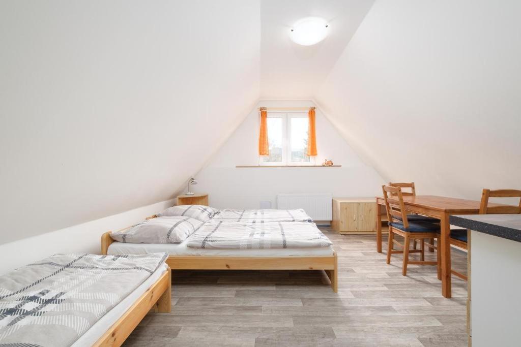 Apartmany Klinovec - Penzion Jonas Лоучна-под-Кліновцем Екстер'єр фото