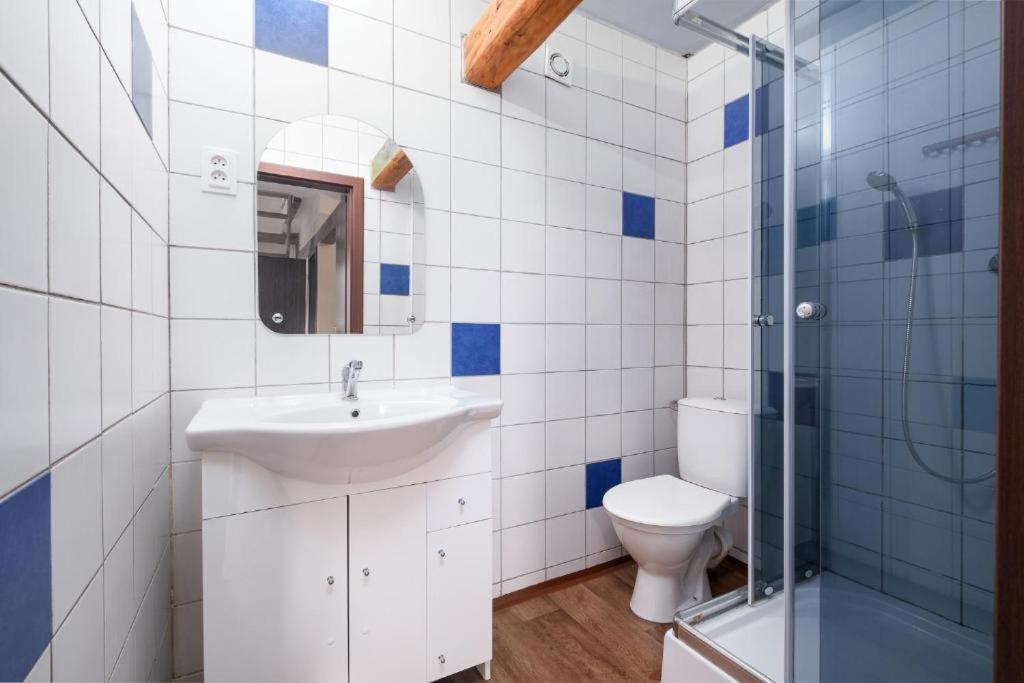Apartmany Klinovec - Penzion Jonas Лоучна-под-Кліновцем Екстер'єр фото
