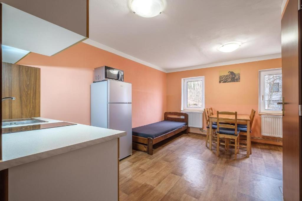 Apartmany Klinovec - Penzion Jonas Лоучна-под-Кліновцем Екстер'єр фото