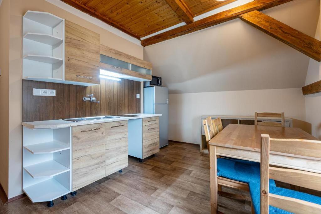 Apartmany Klinovec - Penzion Jonas Лоучна-под-Кліновцем Екстер'єр фото