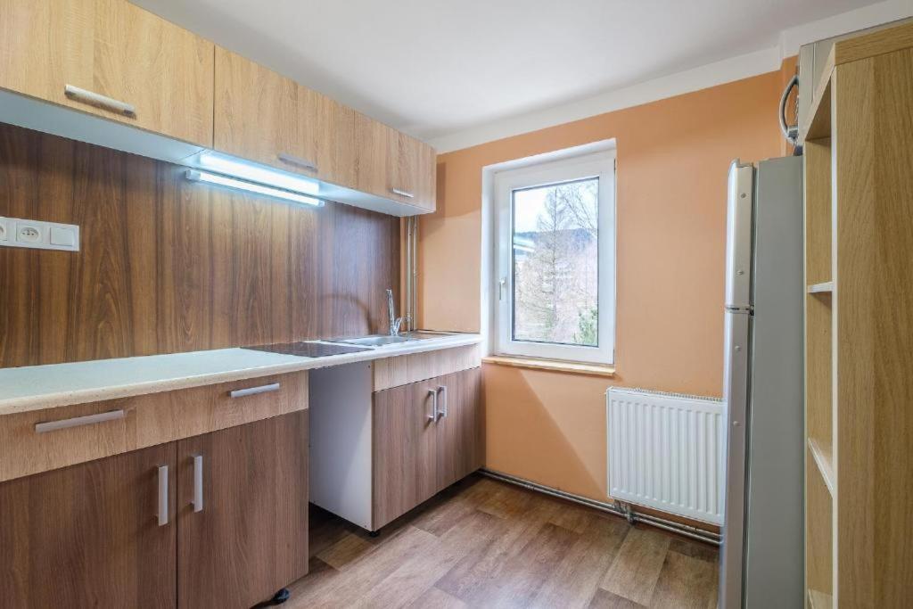 Apartmany Klinovec - Penzion Jonas Лоучна-под-Кліновцем Екстер'єр фото