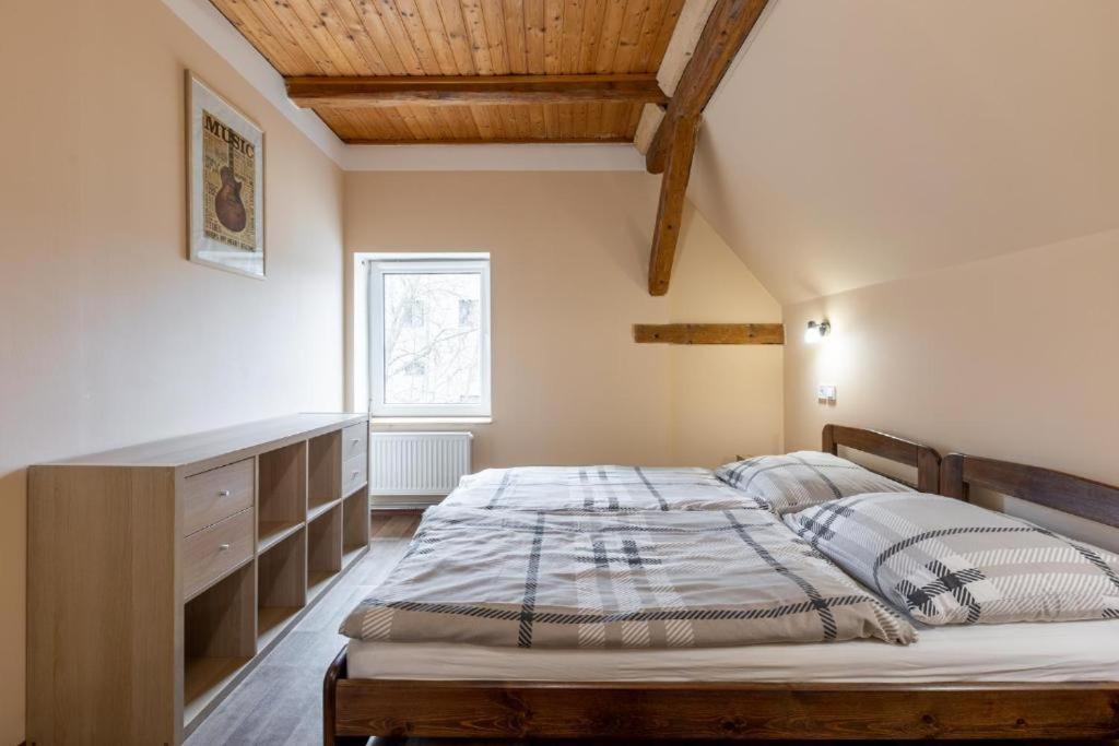Apartmany Klinovec - Penzion Jonas Лоучна-под-Кліновцем Екстер'єр фото